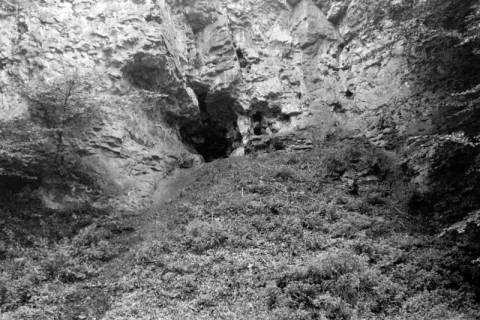 ARH NL Dierssen 0105/0011, Felshöhlen im Saupark, zwischen 1946/1947