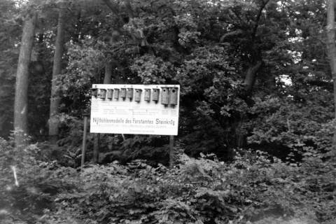 ARH NL Dierssen 0123/0016, Tafel und Nistkästen des Forstamtes Steinkrug, 1948