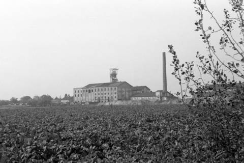 ARH NL Dierssen 0132/0020, Kalibergwerk, 1948