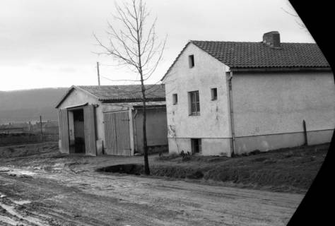 ARH NL Dierssen 0139/0012, Lagerschuppen von Felix Tief, Springe, 1949