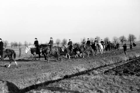 ARH NL Dierssen 0140/0015, Reiterausflug zum Saupark, Springe, 1949