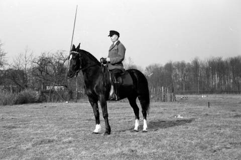 ARH NL Dierssen 0146/0003, Reiterverein, Springe, um 1949