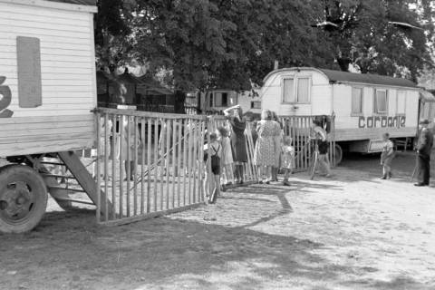 ARH NL Dierssen 0169/0013, Zirkus, 1949