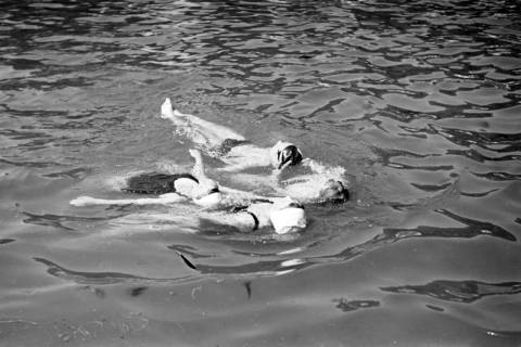 ARH NL Dierssen 0175/0005, Schwimmfest, 1949