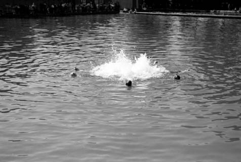 ARH NL Dierssen 0175/0020, Schwimmfest, 1949
