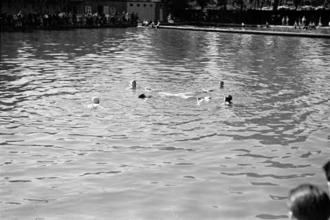 ARH NL Dierssen 0175/0021, Schwimmfest, 1949