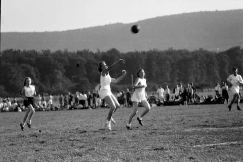 ARH NL Dierssen 0189/0013, Damen-Handball, 1949