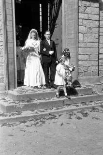 ARH NL Dierssen 0197/0018, Hochzeit Wittkopp, 1949