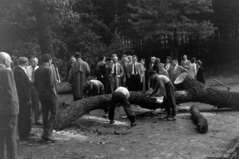 ARH NL Dierssen 0200/0017, Polizei-Ausflug, 1949