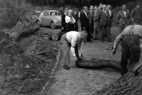 ARH NL Dierssen 0200/0019, Polizei-Ausflug, 1949