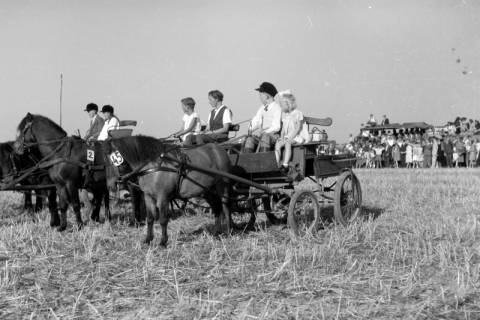 ARH NL Dierssen 0203/0008, Reiterfest, 1949