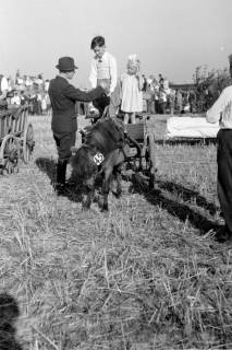 ARH NL Dierssen 0203/0009, Reiterfest, 1949