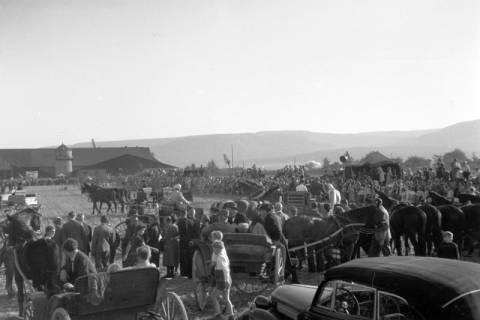 ARH NL Dierssen 0203/0010, Reiterfest, 1949