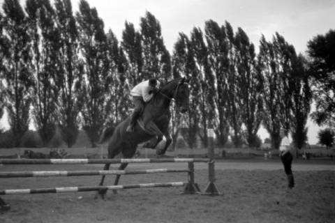 ARH NL Dierssen 0207/0004, Reittunier (Tag des Roten Kreuzes), 1949