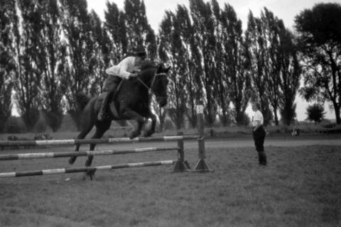 ARH NL Dierssen 0207/0005, Reittunier (Tag des Roten Kreuzes), 1949