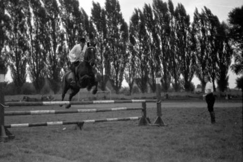 ARH NL Dierssen 0207/0006, Reittunier (Tag des Roten Kreuzes), 1949