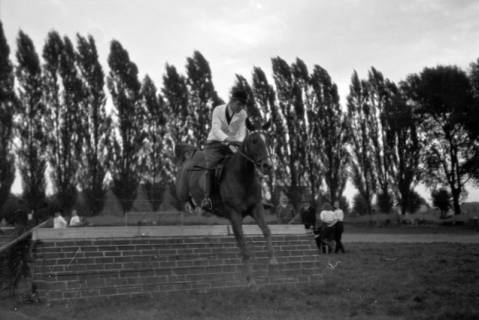 ARH NL Dierssen 0207/0010, Reittunier (Tag des Roten Kreuzes), 1949