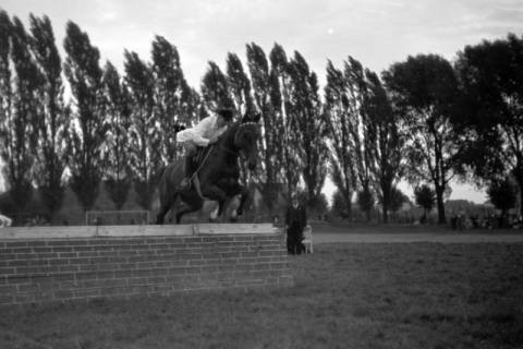 ARH NL Dierssen 0207/0018, Reittunier (Tag des Roten Kreuzes), 1949