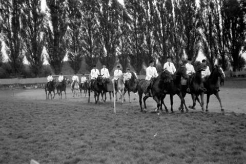 ARH NL Dierssen 0208/0023, Tag des Roten Kreuzes (Umzug und Reiten), 1949