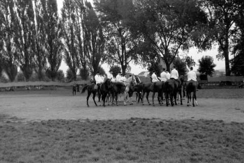 ARH NL Dierssen 0208/0025, Tag des Roten Kreuzes (Umzug und Reiten), 1949