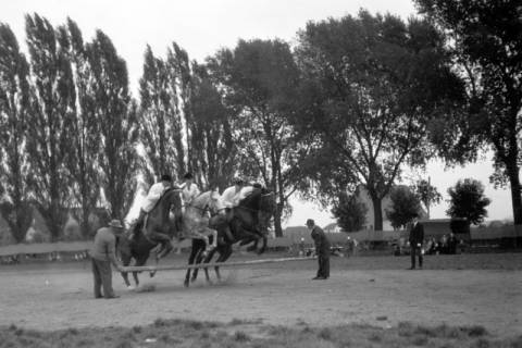 ARH NL Dierssen 0208/0026, Tag des Roten Kreuzes (Umzug und Reiten), 1949