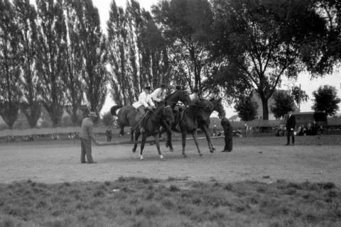 ARH NL Dierssen 0208/0027, Tag des Roten Kreuzes (Umzug und Reiten), 1949