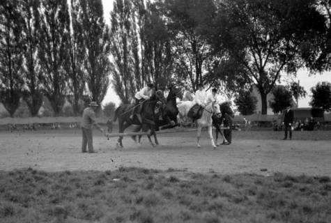 ARH NL Dierssen 0208/0029, Tag des Roten Kreuzes (Umzug und Reiten), 1949