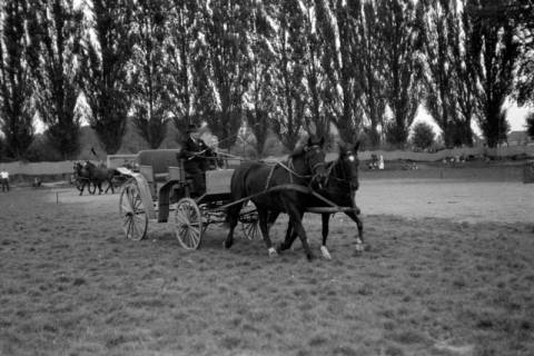 ARH NL Dierssen 0208/0030, Tag des Roten Kreuzes (Umzug und Reiten), 1949