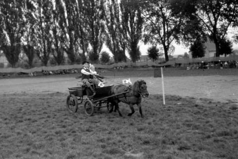 ARH NL Dierssen 0208/0031, Tag des Roten Kreuzes (Umzug und Reiten), 1949