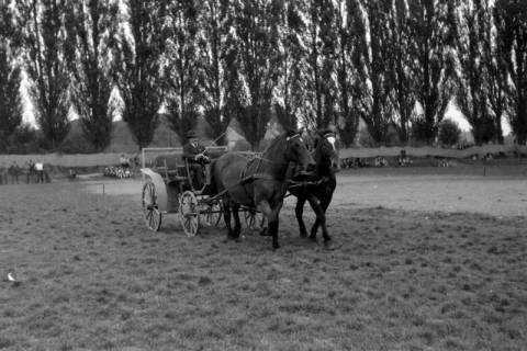 ARH NL Dierssen 0208/0032, Tag des Roten Kreuzes (Umzug und Reiten), 1949