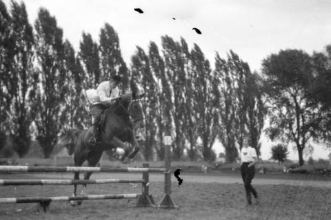 ARH NL Dierssen 0208/0033, Tag des Roten Kreuzes (Umzug und Reiten), 1949