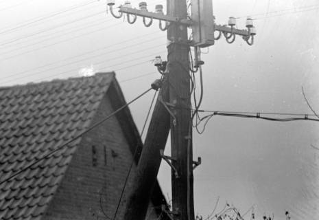 ARH NL Dierssen 1005/0017, Probeaufnahmen Lontax-Teleobjektiv, 1950