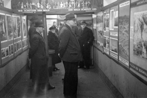 ARH NL Dierssen 1005/0021, Ausstellung "Der Wald..." (Herzog Ernst-August), 1950