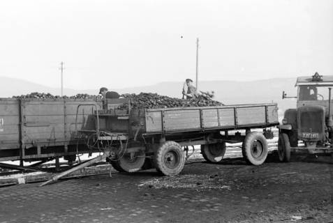 ARH NL Dierssen 1007/0015, Bahnhof Springe - Abladen von Kohlen, 1950