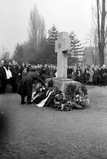 ARH NL Dierssen 1008/0009, Volkstrauertag - Feierstunde auf dem Springer Friedhof, 1950