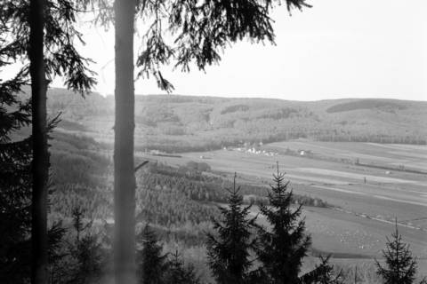 ARH NL Dierssen 1022/0021, Blick von Fahrenbrink auf Springe, 1950