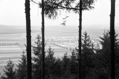 ARH NL Dierssen 1022/0022, Blick von Fahrenbrink auf Springe, 1950