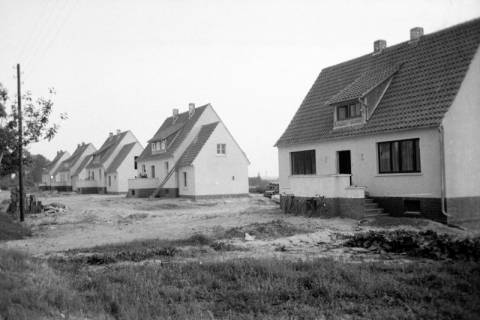 ARH NL Dierssen 1036/0019, Siedlung, Rössing, 1950