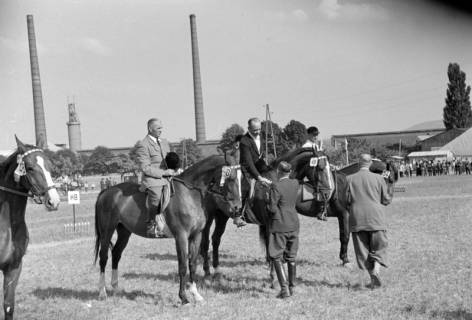 ARH NL Dierssen 1049/0012, Reitturnier, Springe, 1950