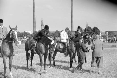 ARH NL Dierssen 1049/0013, Reitturnier, Springe, 1950