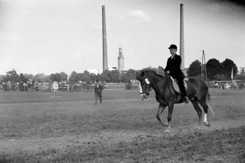 ARH NL Dierssen 1049/0019, Reitturnier, Springe, 1950