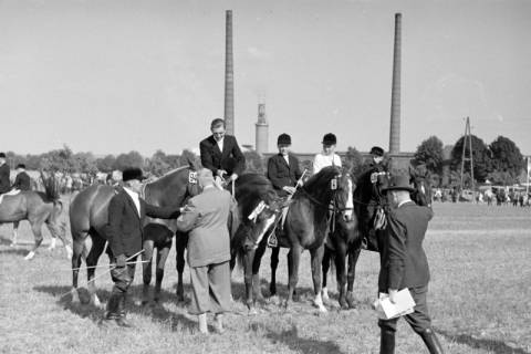 ARH NL Dierssen 1049/0020, Reitturnier, Springe, 1950