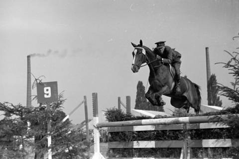 ARH NL Dierssen 1051/0005, Reitturnier, Springe, 1950