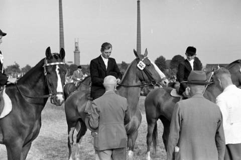 ARH NL Dierssen 1051/0007, Siegerehrung auf einem Reitturnier, Springe, 1950