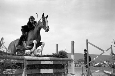 ARH NL Dierssen 1051/0022, Reitturnier, Springe, 1950