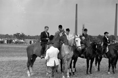 ARH NL Dierssen 1051/0023, Reitturnier, Springe, 1950