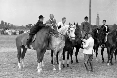 ARH NL Dierssen 1051/0024, Reitturnier, Springe, 1950