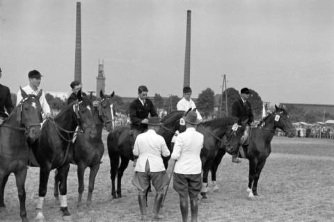 ARH NL Dierssen 1051/0025, Reitturnier, Springe, 1950