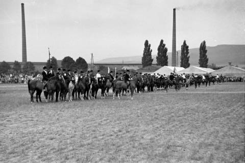 ARH NL Dierssen 1051/0028, Reitturnier, Springe, 1950