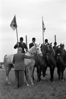 ARH NL Dierssen 1052/0002, Reitturnier, Springe, 1950